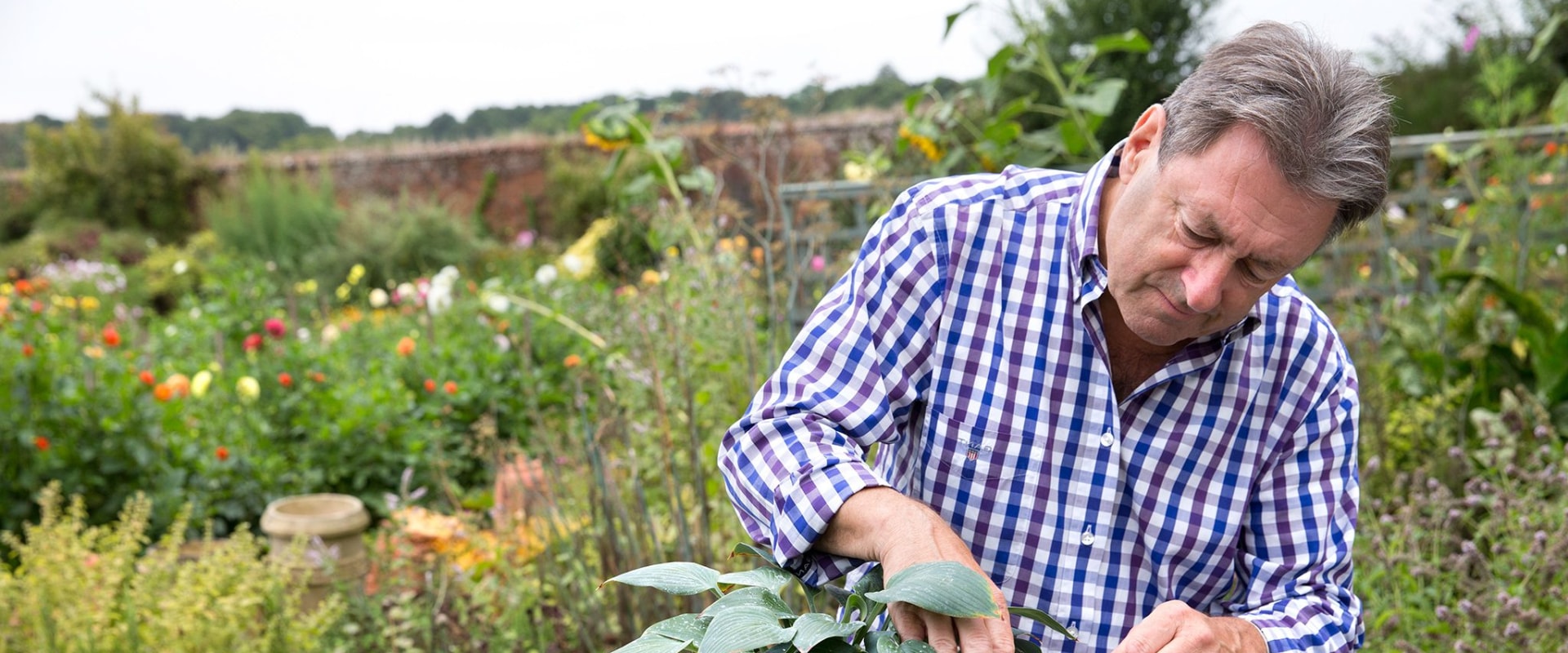 Controlling Pests Without Chemicals A Guide for Gardeners and Farmers