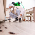 Why Is It Vital To Engage A Reliable Pest Control Service In Anaheim Rather Than Doing DIY Pest Control In Your Home?