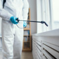 Longwood Homeowners: Choose Professional Pest Control Services Over Risky DIY Pest Control