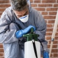 Should You Do Pest Control Yourself or Hire a Professional?