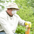 What are some tips for successful diy pest control projects?