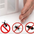 How to Ensure Effective Pest Control