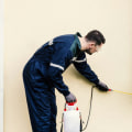 Safety Precautions for DIY Pest Control