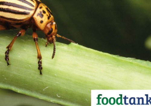 The Benefits of Natural Pest Control