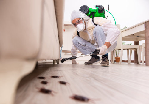 Why Is It Vital To Engage A Reliable Pest Control Service In Anaheim Rather Than Doing DIY Pest Control In Your Home?