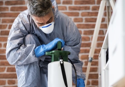 The Pros and Cons of DIY Pest Control