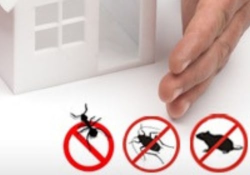 How to Ensure Effective Pest Control