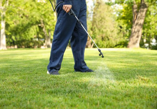 From Yard Cleanup to Prevention: DIY Pest Control Made Easier