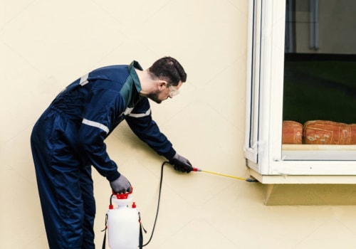 Safety Precautions for DIY Pest Control
