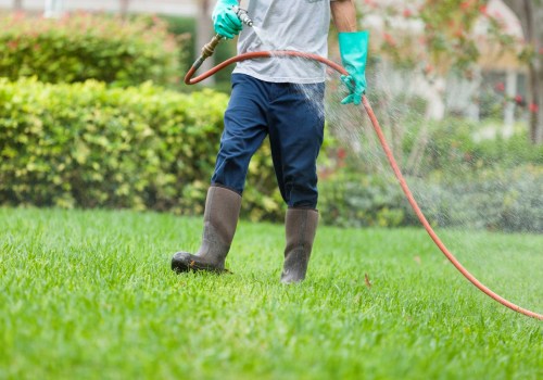 DIY Pest Control Vs. Professional Pest Control: Which Works Better In Forney, TX?
